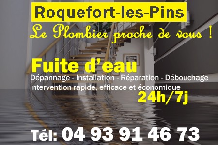 fuite Roquefort-les-Pins - fuite d'eau Roquefort-les-Pins - fuite wc Roquefort-les-Pins - recherche de fuite Roquefort-les-Pins - détection de fuite Roquefort-les-Pins - dépannage fuite Roquefort-les-Pins